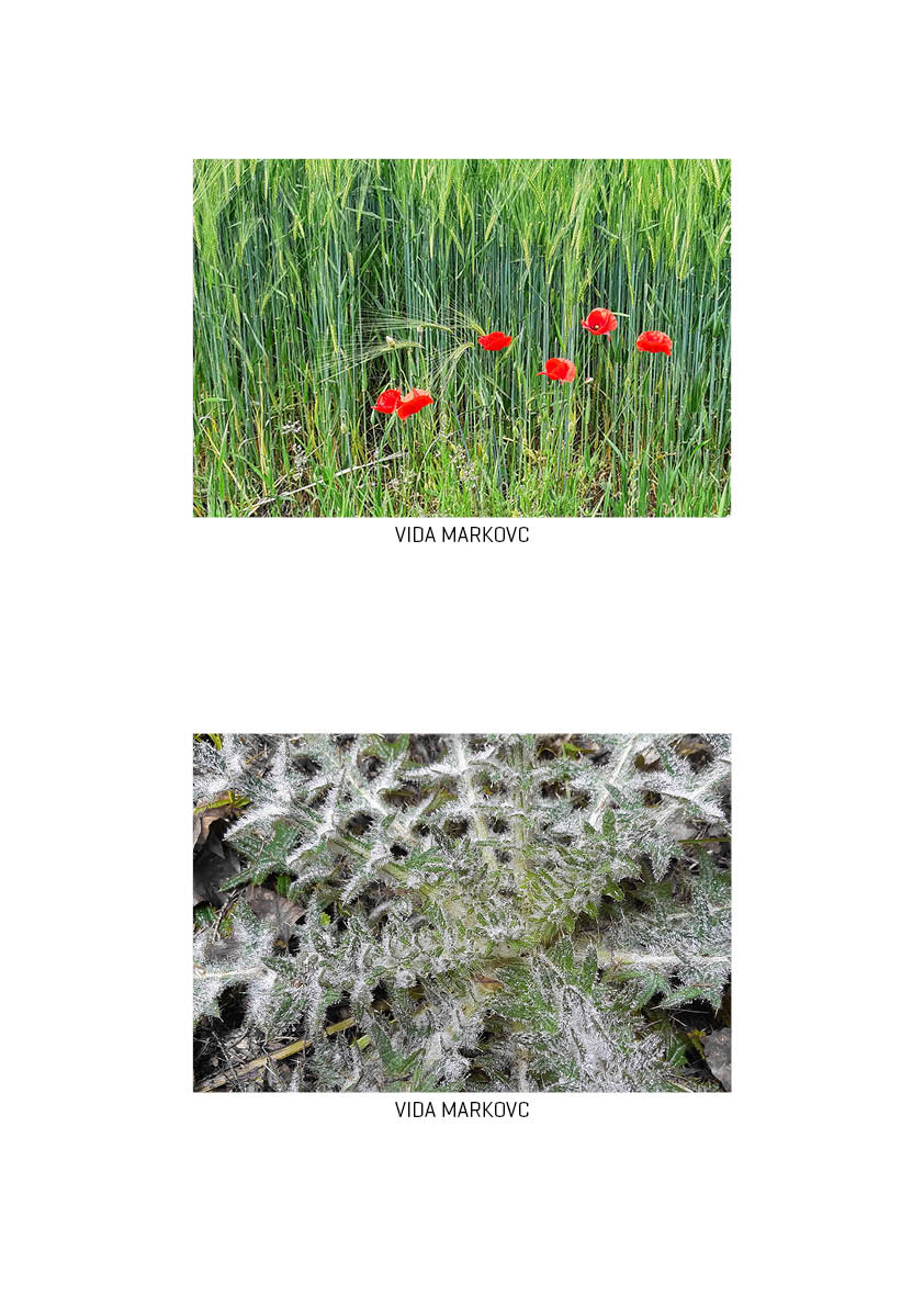 2021_vurnikovi dnevi_foto natecaj_razstavisce7