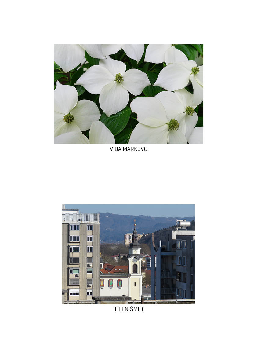 2021_vurnikovi dnevi_foto natecaj_razstavisce8